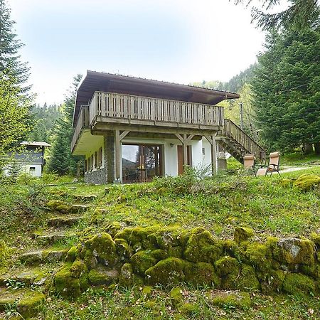 Le Schwarzwald - A Proximite Des Stations De Ski La Bresse Eksteriør bilde